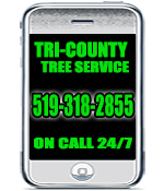 contact Tri-County Tree Service in Grand Bend, ON at 519-318-2855