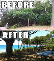 Tri-County Tree Service Stump Grinding even the toughest stumps