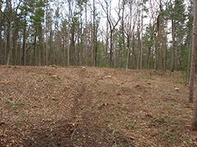 Tri-County Tree Service can clear any lot, any size