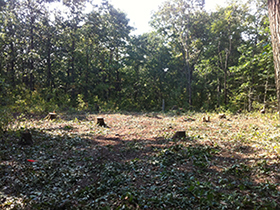 Tri-County Tree Will Clear Your Lot without leaving a big mess to be cleaned up