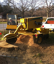 Tri-County Tree Service Stump Grinding even the toughest stumps